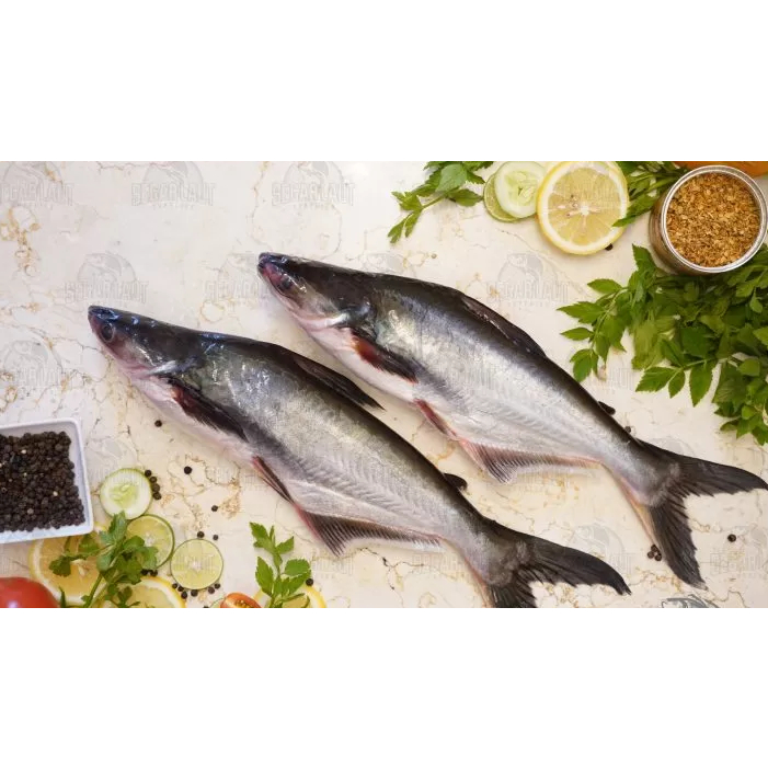 

Ikan Patin Segar 500 gram KIRIM INSTANT