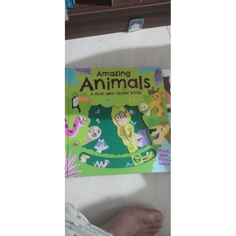 boardbook amazing animals