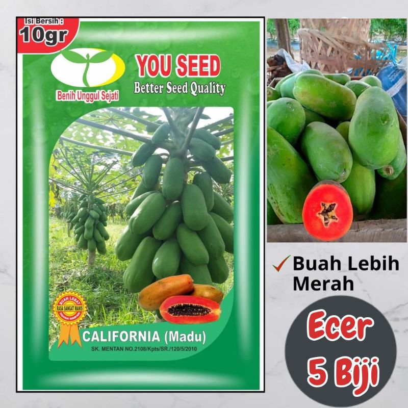 Pepaya California Madu Isi 5 Biji | Pepaya California Madu | Benih Pepaya