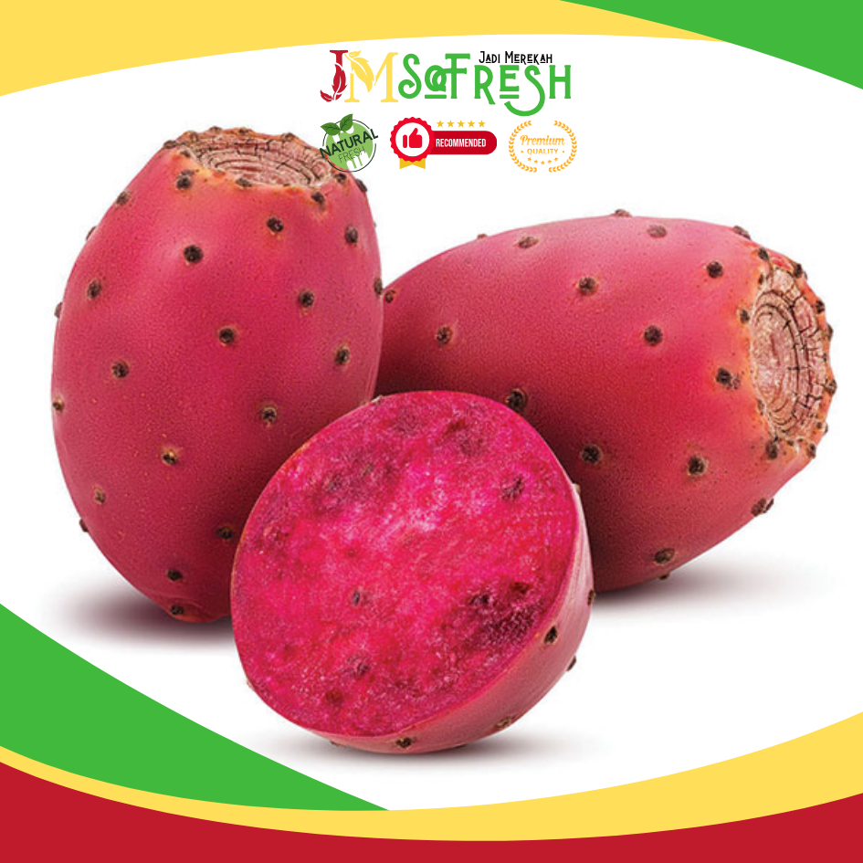[JM_SoFresh] Buah Kaktus / Cactus Fruit (Opuntia) / Prickly Pear