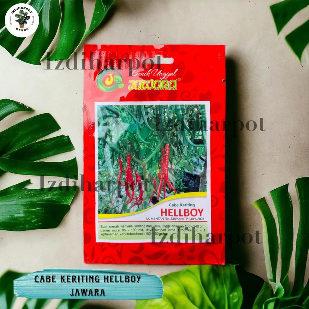 Benih Bibit Cabe Keriting Hellboy Benih Unggul Jawara - CABE KERITING HELLBOY