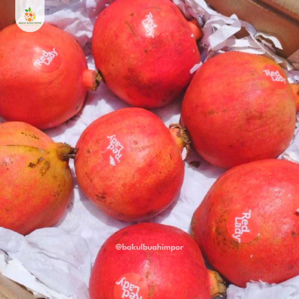 

Indian Pomgranate | Buah Delima [ 500gr ]