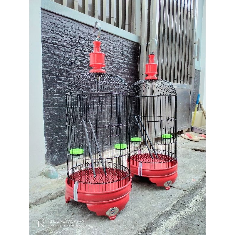 sangkar lovebird EBOD STRONG / batman polos pvc