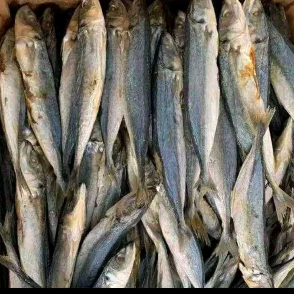 

IKAN ASIN LAUK TAMBAN SARAI