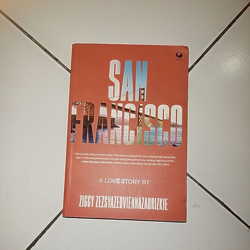 (Booked) Preloved Novel San Fransisco Ziggy Zezsyazeoviennazabrizkie