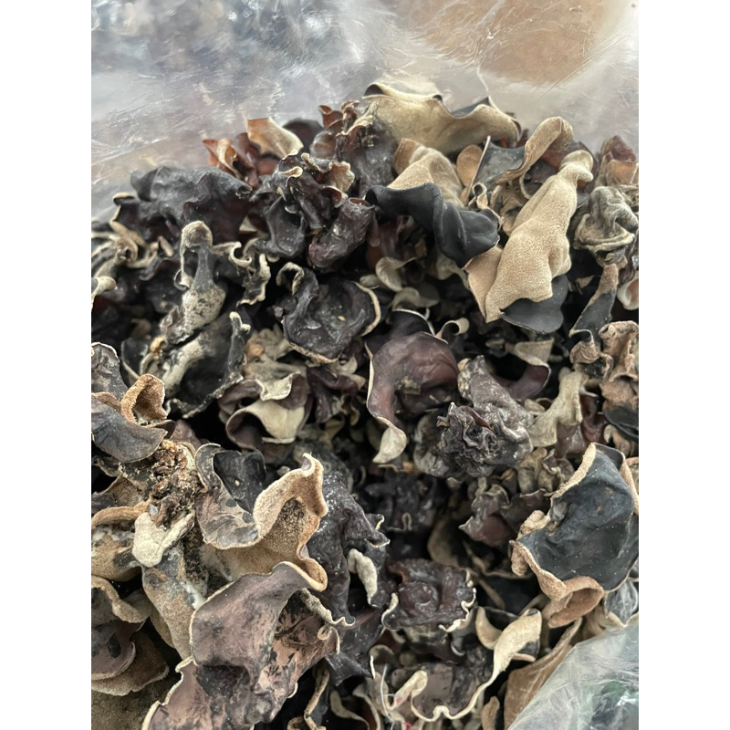 

50 gram jamur kuping- jamur - bumbon nusantara