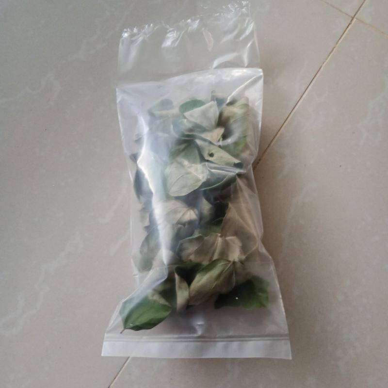 

daun Bidara arab kering