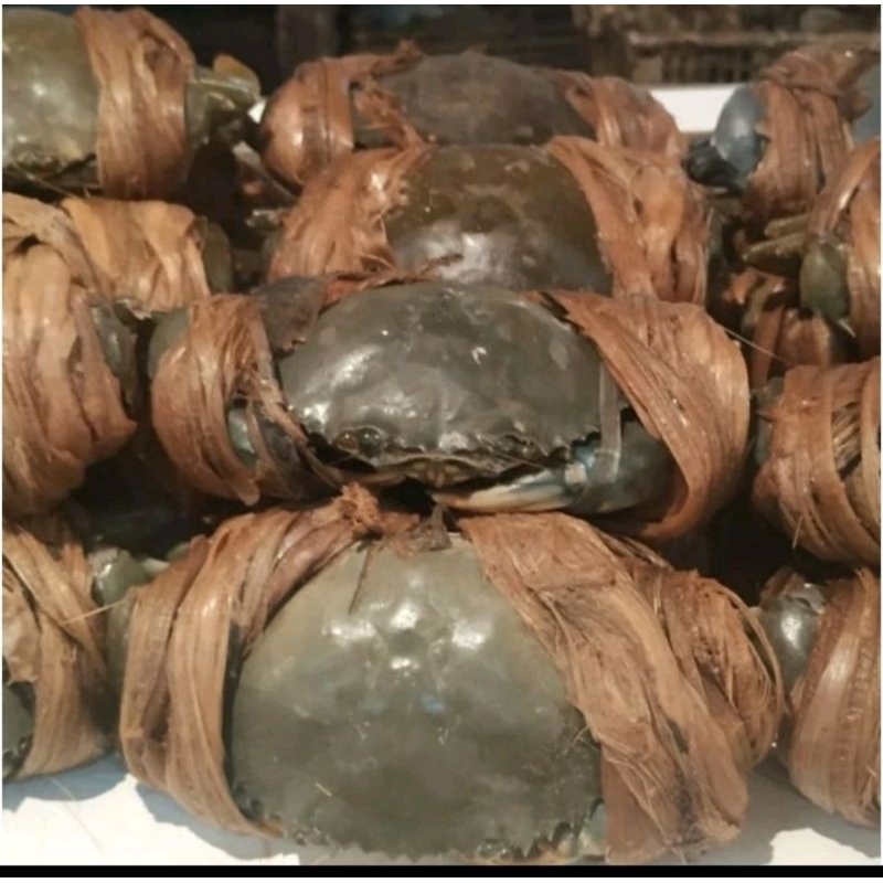 

kepiting laut 1kg