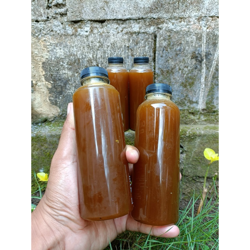 

LEBAH LIAR (apis cerana) full nektar 100% madu murni