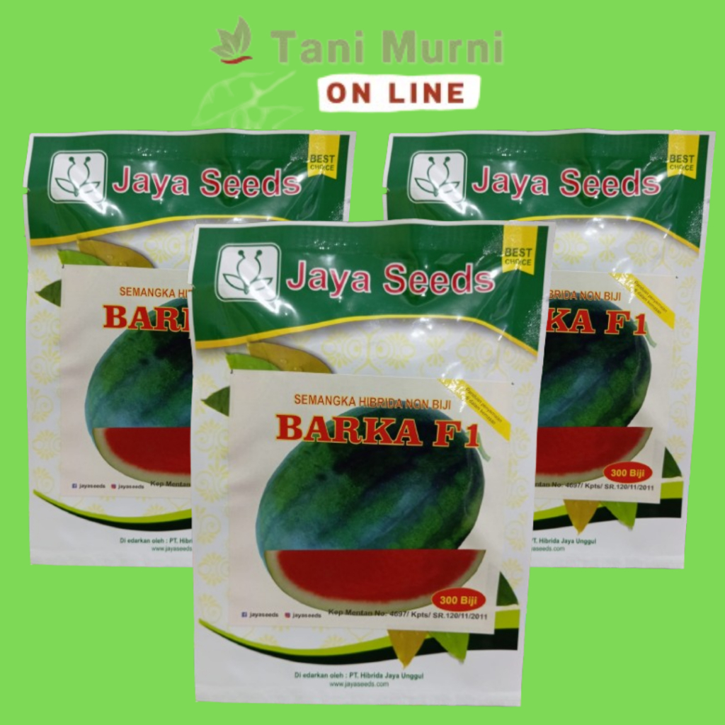 Benih Semangka Hibrida Non Biji BARKA F1 Jaya Seeds 300 Biji