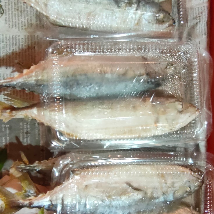 

Khas Medan Batak Ikan Robus Kembung Gembung