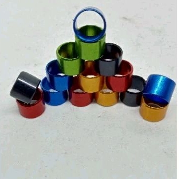 ring polos untuk merpati dewasa ukuran 9mm