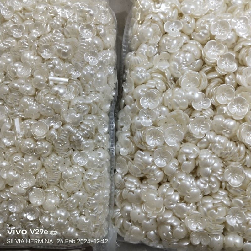 Mote 3 Kelopak BW 1 Pon