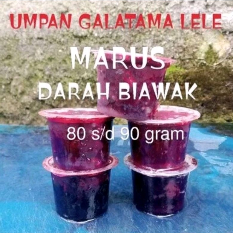 Marus Darah Biawak Umpan Mancing Galatama Lele