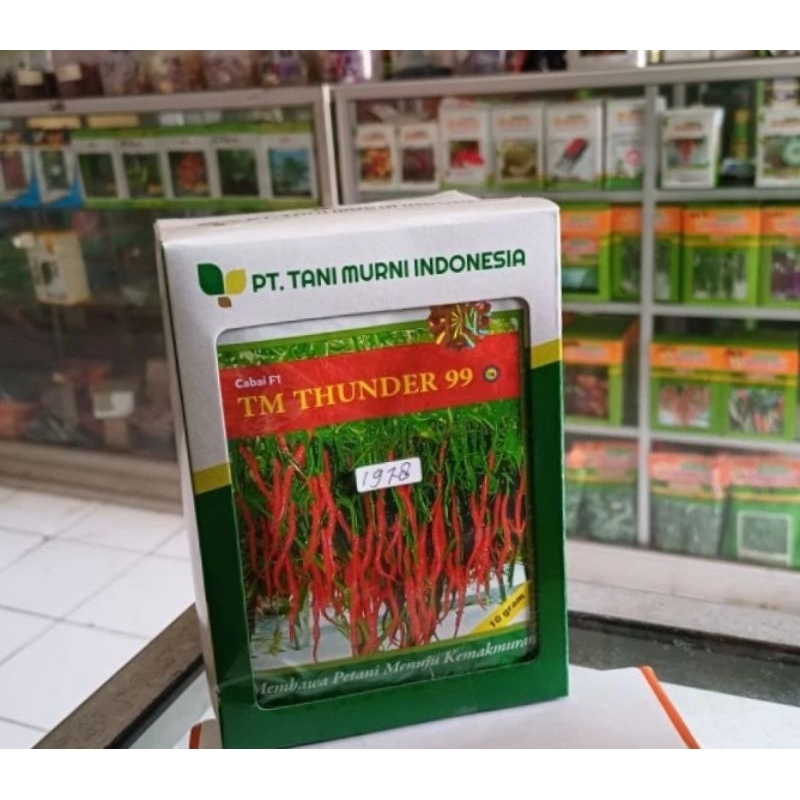 benih cabe keriting TM thunder f1 isi 10 gr