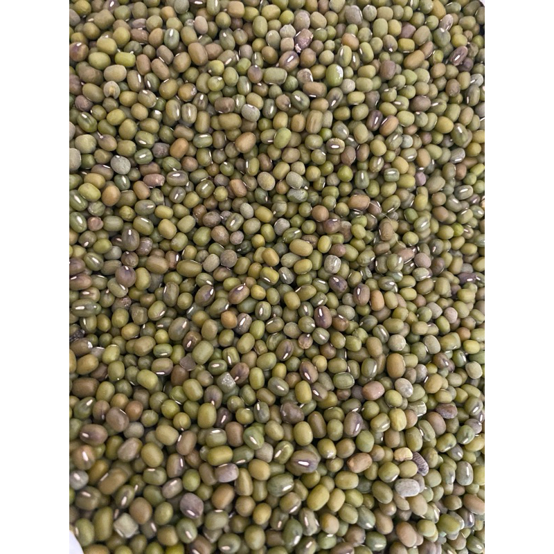 

kacang hijau birma mentah