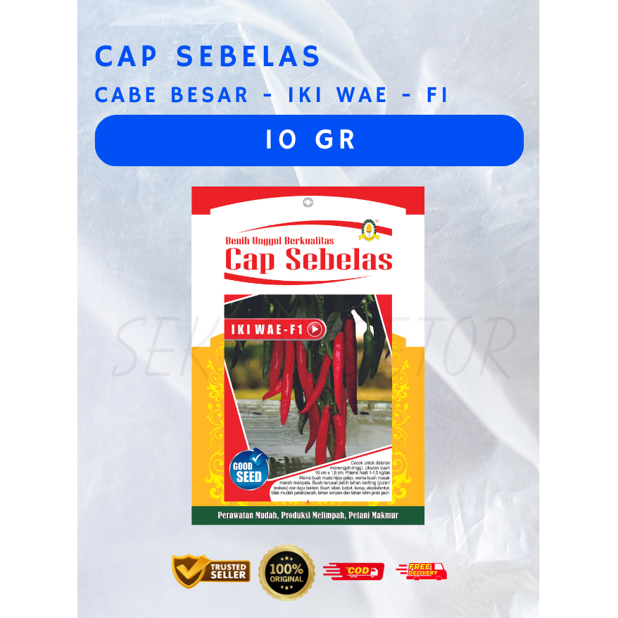 Benih Cabe Besar Iki Wae F1 Cap Sebelas 10gr | Benih Cabe Besar | Bibit Cabe Besar | Benih Cabe Besa