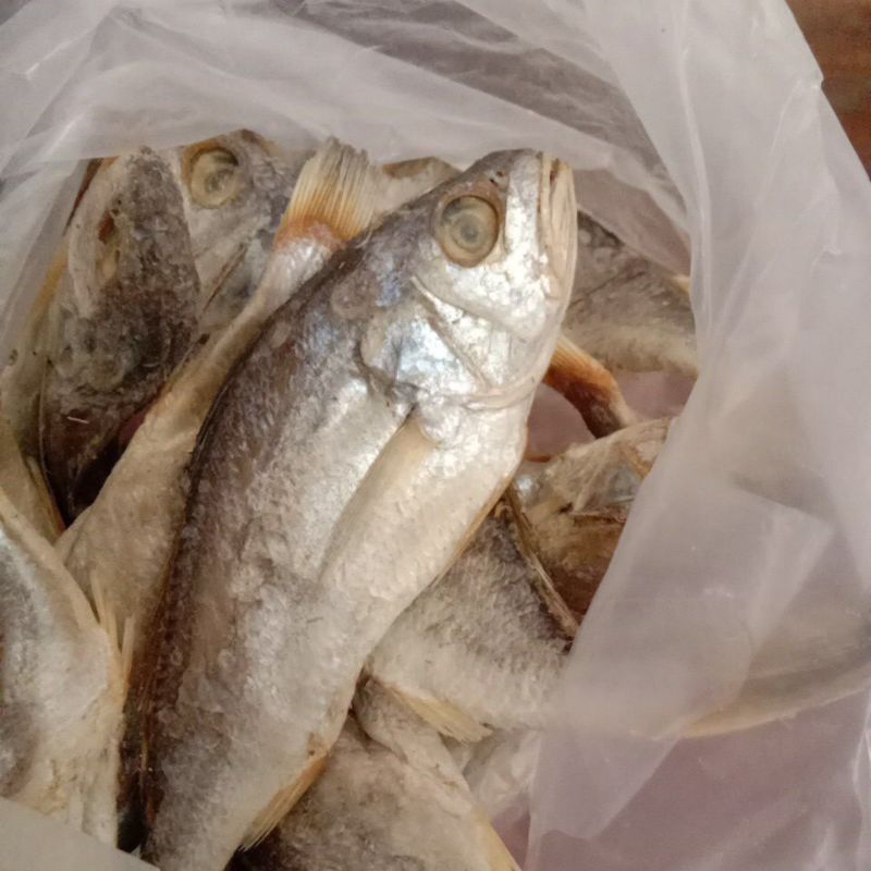 

ikan asin tanjung balai