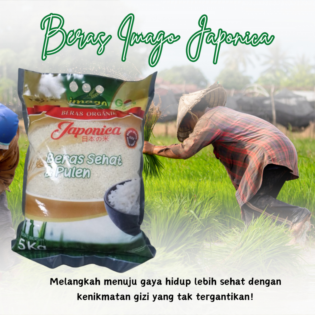 

Beras Premium Japonica IMAGO