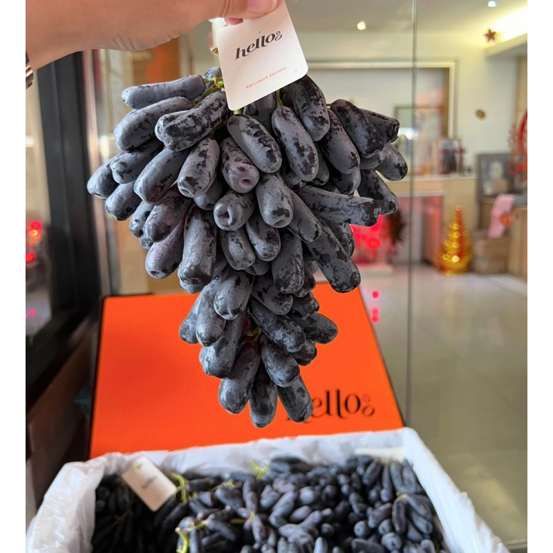 

ANGGUR Sweet Sapphire australia CORdoma JUMBO