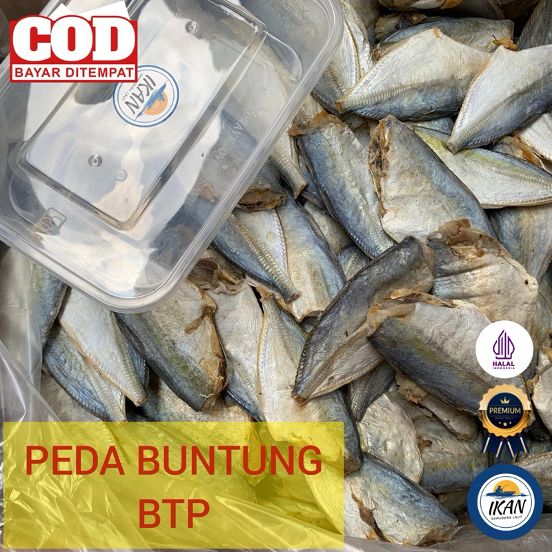 

Ikan Asin Peda Buntun Grosir Ecer 500gr