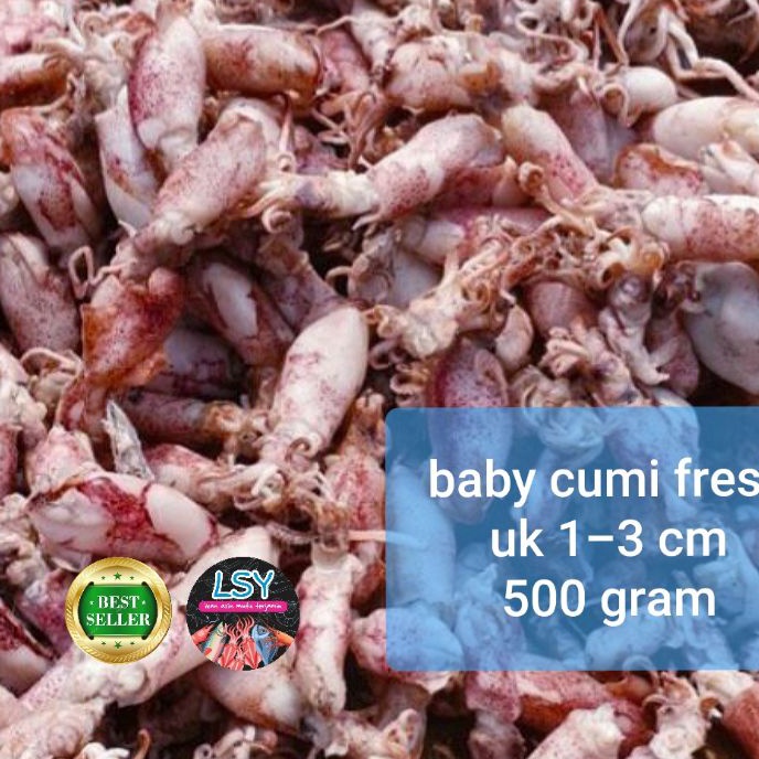 

Grosir ikan asin baby cumi cumi asin cumi rebus 78 berat 5gram