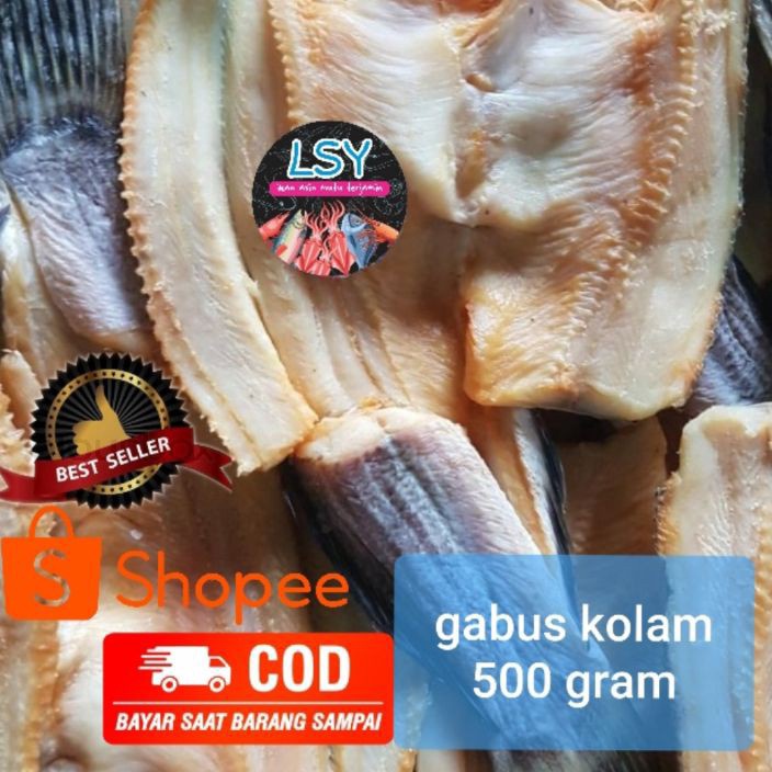 

HJ6 ikan asin gabus kolam size besar 5gr