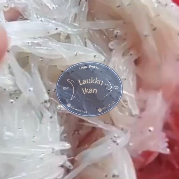 

Promo Teri Nasi Basah