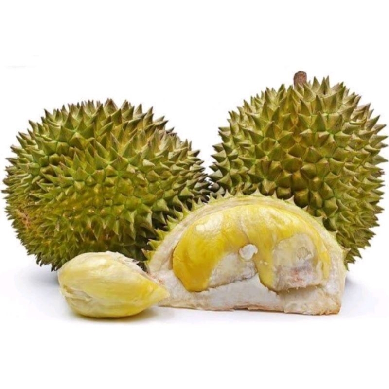 

BUAH DURIAN MEDAN FRESH BULAT UTUH