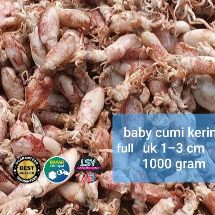 

Terbatas ikan asin baby cumi cumi rebus kering full 1 kg