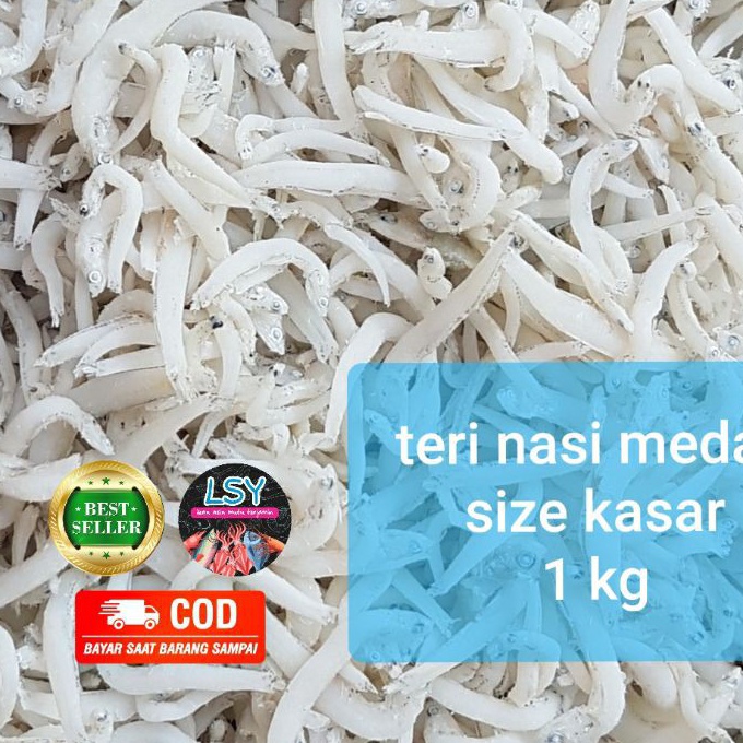 

Terbaru ikan asin teri nasi medan tn putih size jumbo 1kg