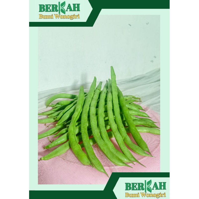 

Sayur Buncis Hijau Segar 1 Kg