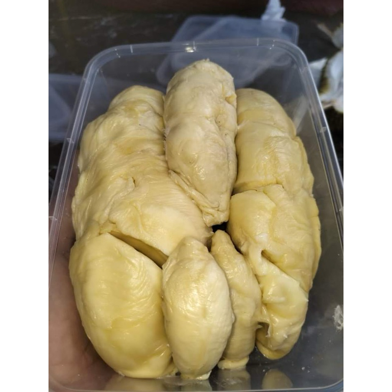 

DURIAN KUPAS LOKAL DIJAMIN ENDUL DAN MANIS