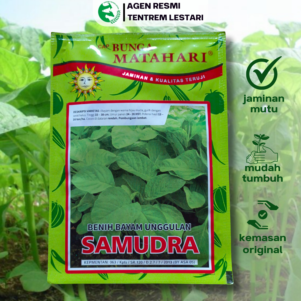 Benih Bayam Hijau SAMUDRA 50 gr cap Bunga matahari Bayam Mangkok Cabut Potong Hidroponik Kebun