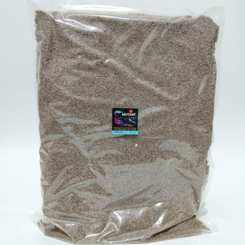 Baby Shrimp Kualitas Super 1 kg ,100% Bayi udang ,Pakan Cupang Pakan Ikan Hias burayak ikan cupang g