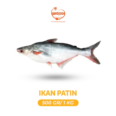 

Ikan Patin (Pangasius) Fresh
