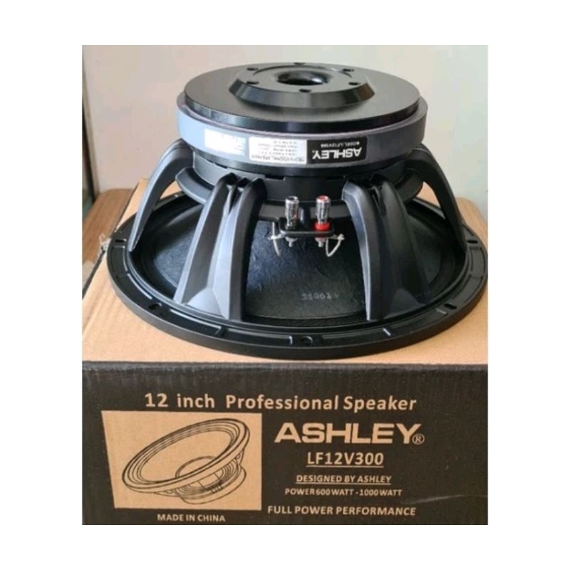 Speaker Ashley 12in 12v300 / speaker Ashley 12inch 12v300 original