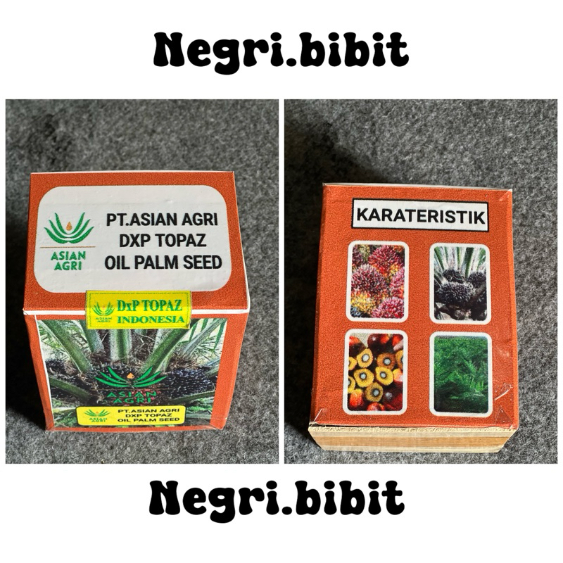bibit sawit Topaz 250 butir