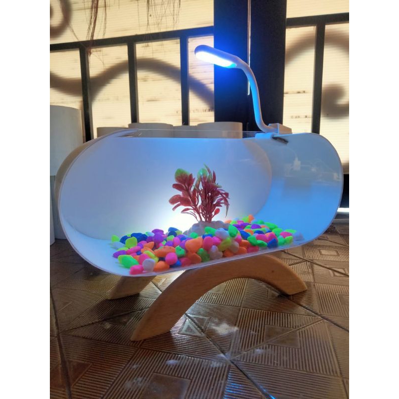 akuarium mini air terjun viral