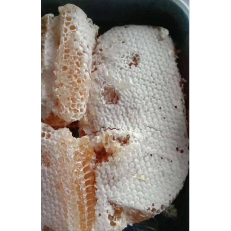 

Madu Sarang