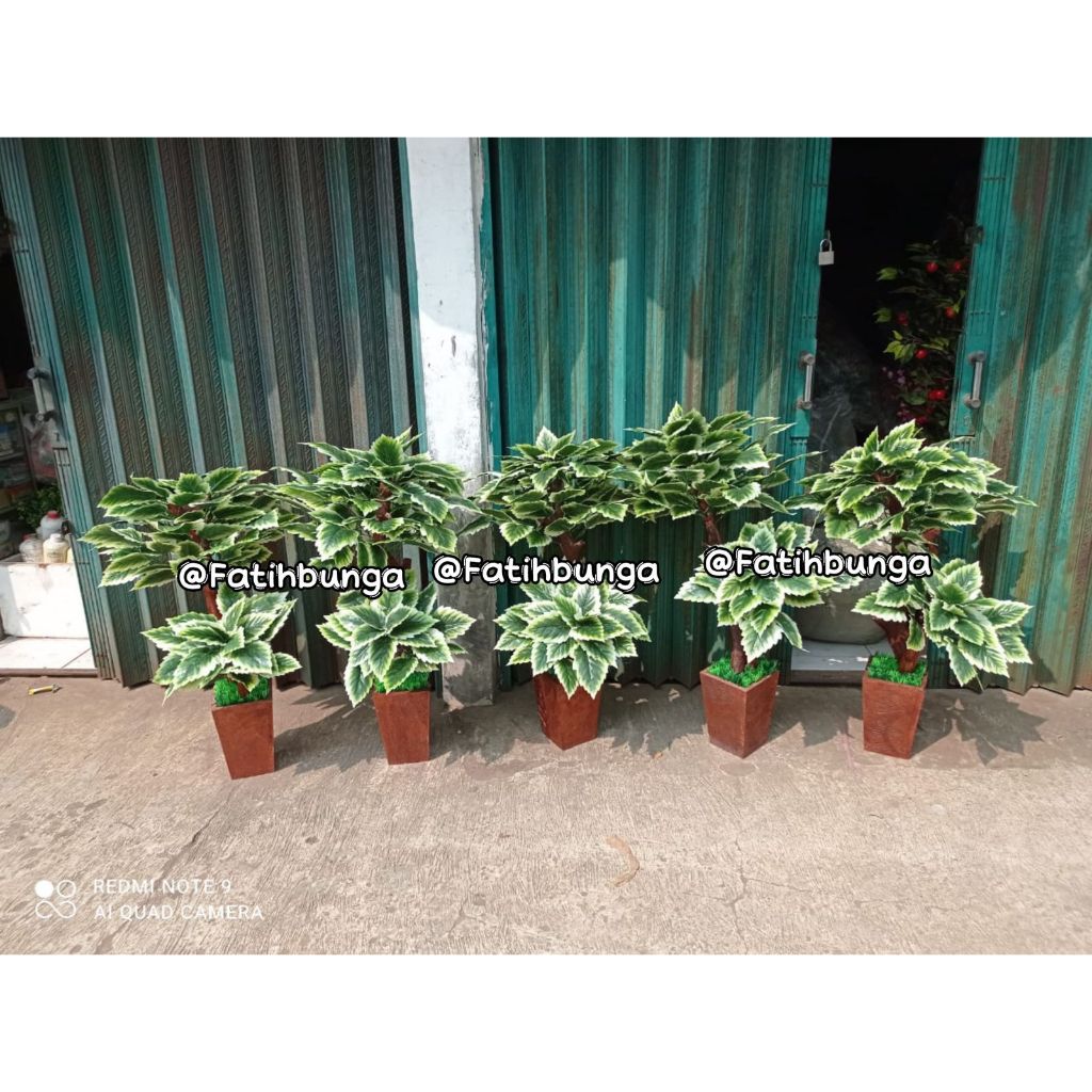 Pohon bonsai gerigi hias/Pohon bonsai gerigi plastik/Bonsai gerigi hias
