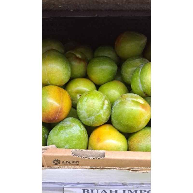 

Plum Green Turtle Import Sweet | Plum Hijau Manis 500 Grm