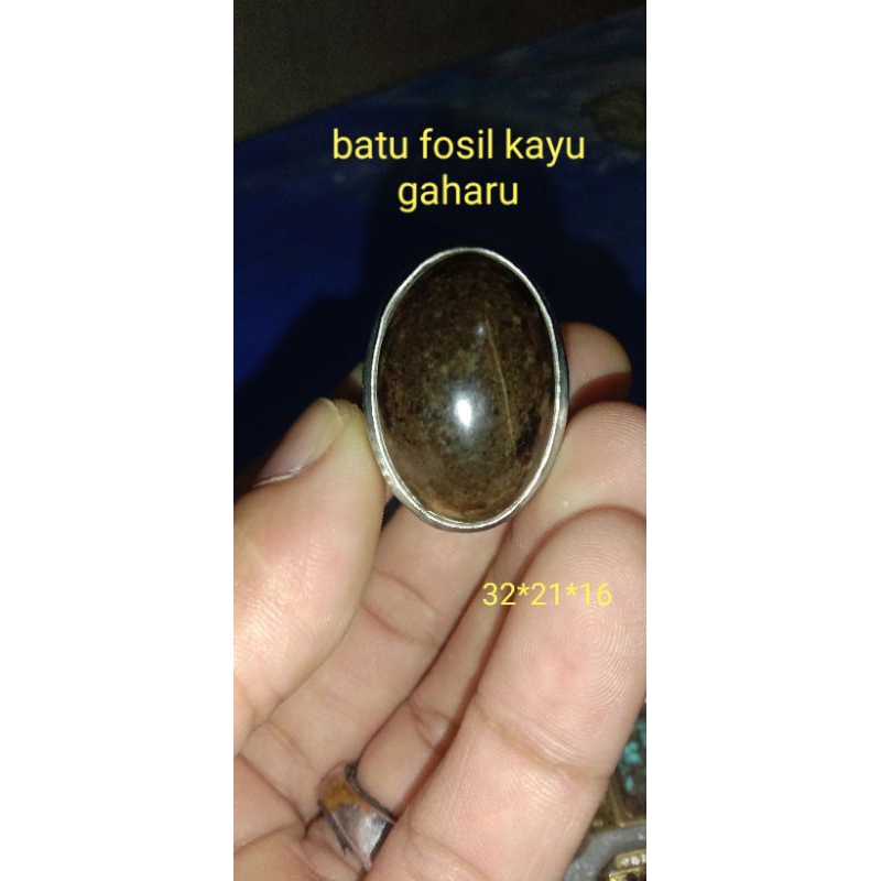 batu fosil kayu gaharu