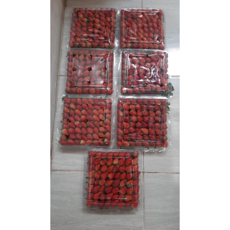 

Strawberry PinkStore