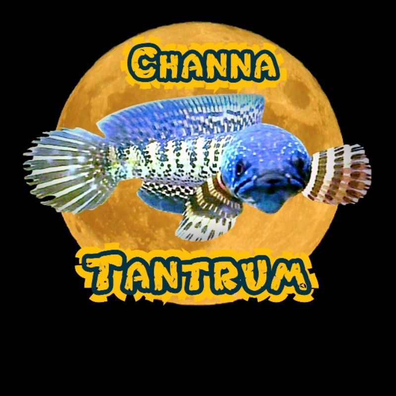 

stiker stewarti single tank