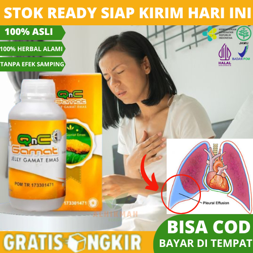 Obat Herbal Pneumonia & Efusi Pleura, Obat Cairan Di Paru Paru, Obat Paru Paru Basah, Obat Infeksi P