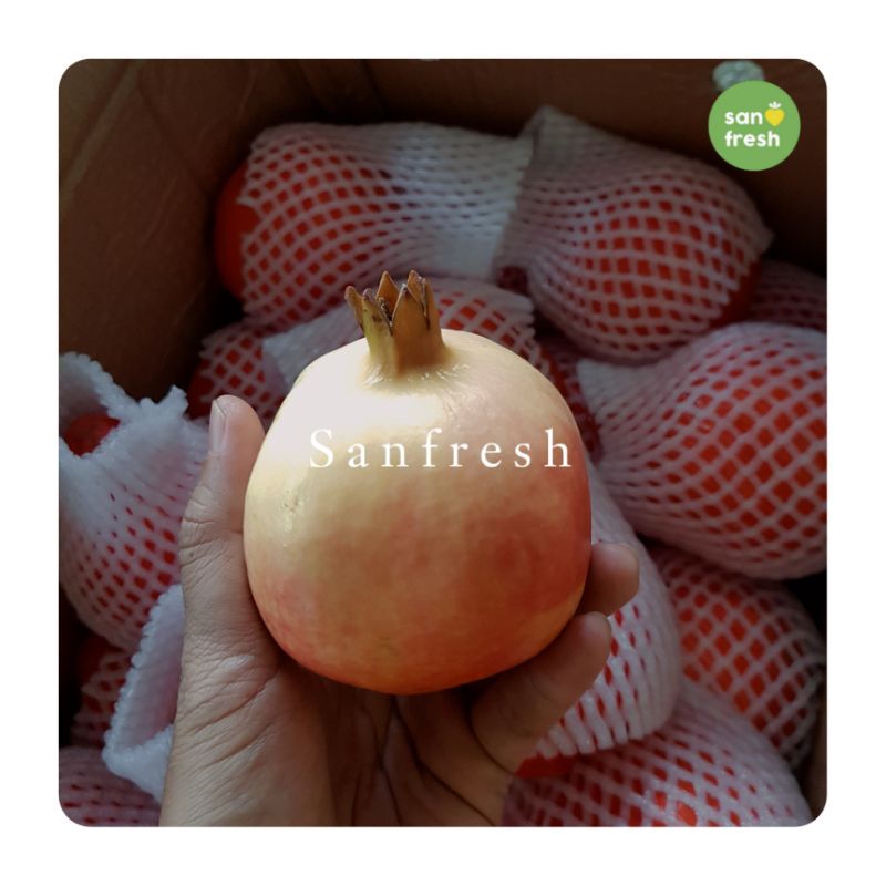 

Delima Impor Premium - Sanfresh