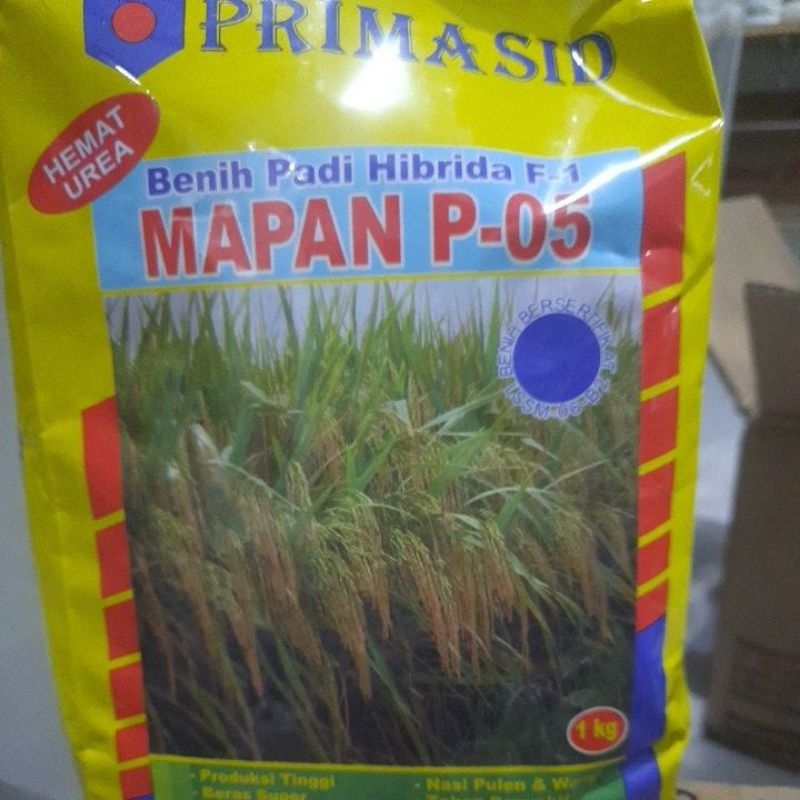 Mapan 05