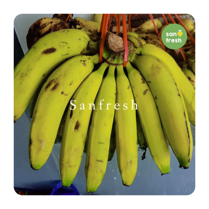 

Sensasi Manis Lembut Pisang Ambon - Nikmati Kualitas Super! - Sanfresh