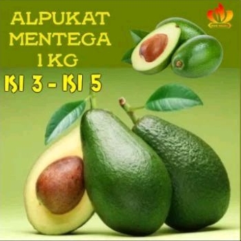 

ALPUKAT MENTEGA 1 KG